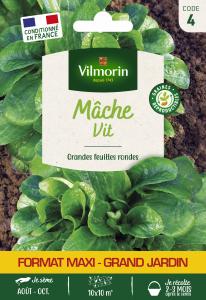 Mâche Vit - Grand Modèle